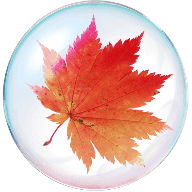 小T同学的新枫之谷资料站